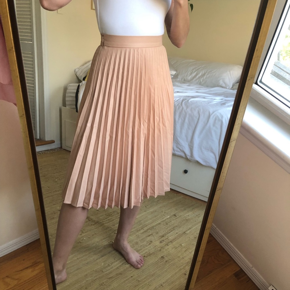 Zara Blush Pleated Midi Skirt